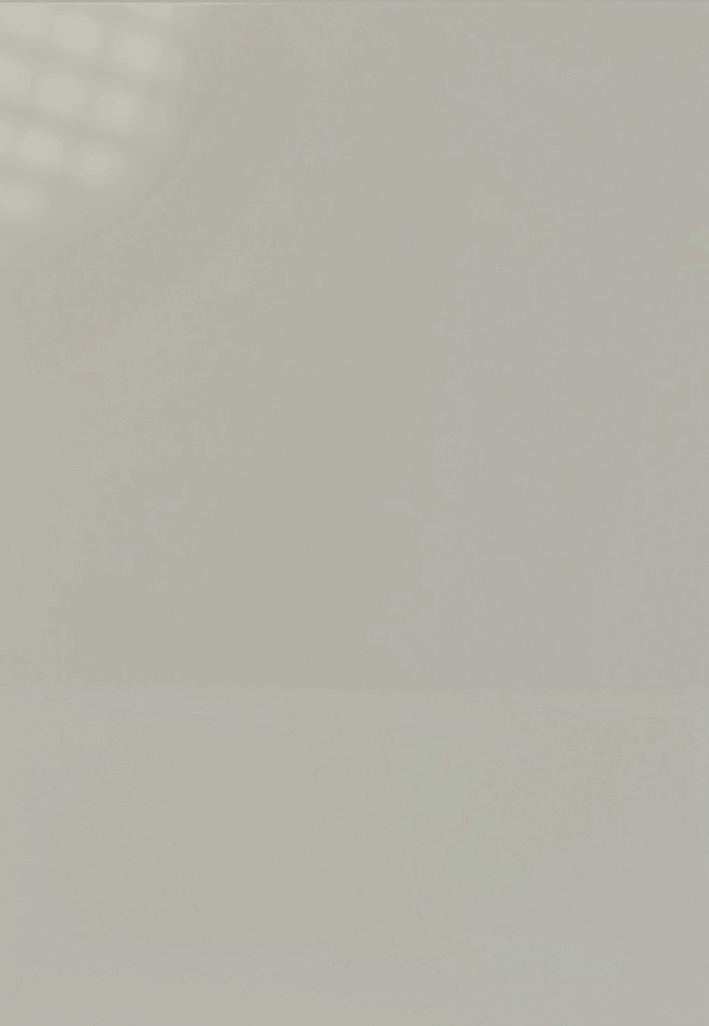 High Gloss Gray - HGG