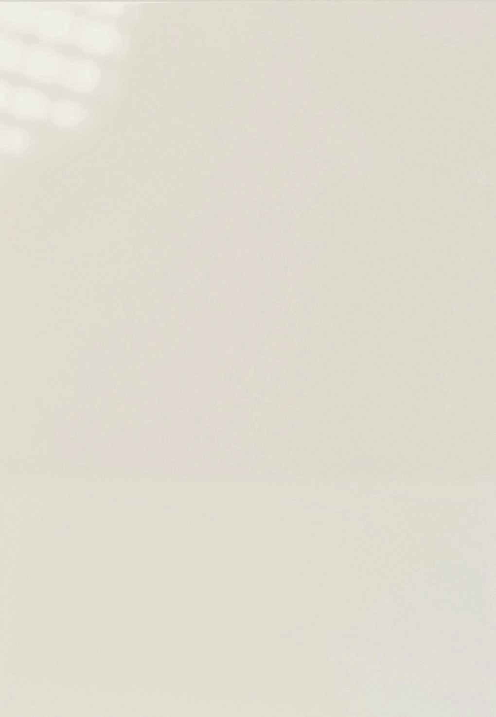 High Gloss Light Grey - HGLG