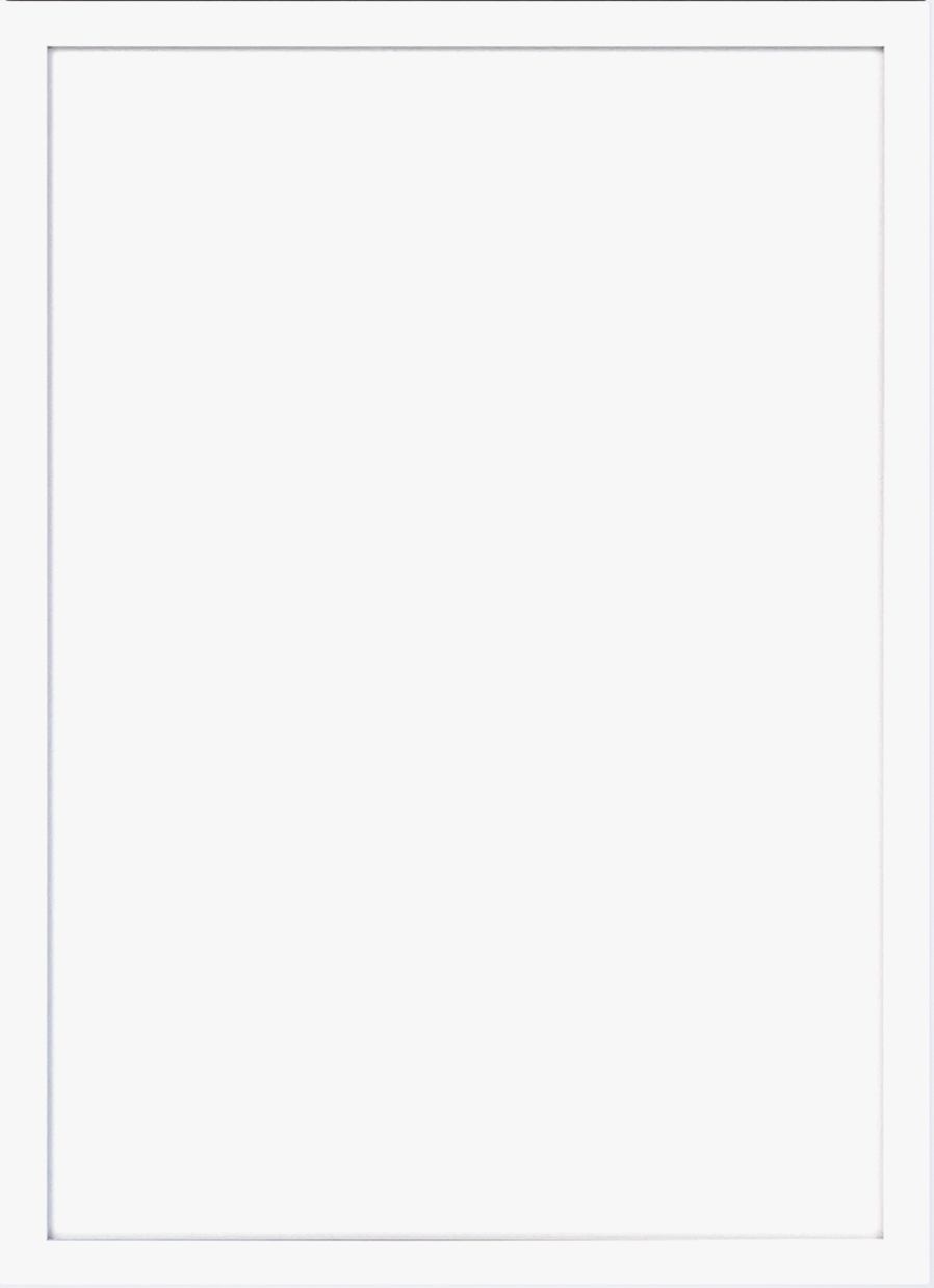 Slim Shaker White - SSW